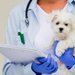 Crystal Vet & Pet - clinica veterinara